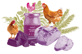 Online Schulung Hühner, Hähne, Eier