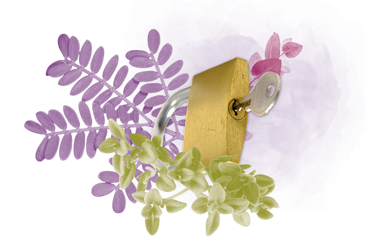 Online Workshop Diebstahl