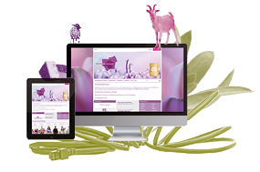 Social-Media-Marketing im Bioladen (Einsteiger)