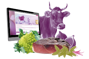 Online-Schulung Bio für Einsteiger