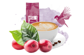 Online Schulung Kaffee-Warenkunde