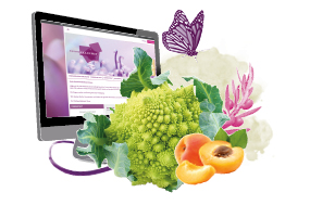 Online Schulung Obst- und Gemüsepräsentation