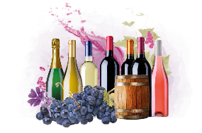 Wein für Einsteiger